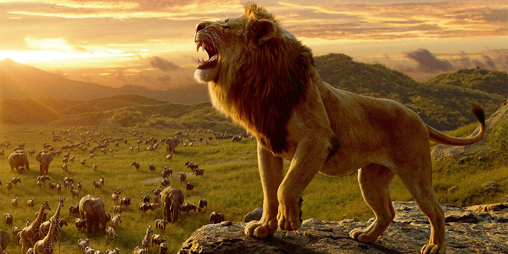 Il re leone: il prequel sarà intitolato Mufasa (e pare uscirà nel 2024)