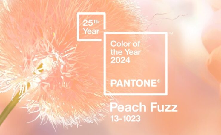 Il Colore Dell Anno Pantone Storia E Significato CorriereNerd It   Pantone Color Of The Year 2024 884527935 740x454 